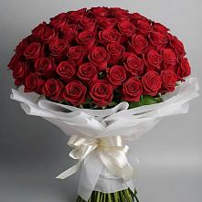 Букет 101 Красная роза Блэк Мэджик в Зуе