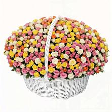 Премиум букет из: Розы в Зуе