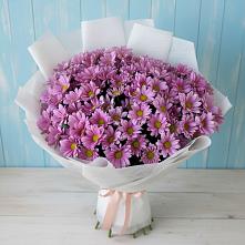 Букет цветов из:  Хризантемы в Зуе