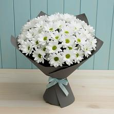 Букет цветов из:  Хризантемы в Зуе