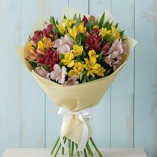 Букет цветов из:  Альстромерии в Зуе