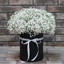 Цветочная композиция из Гипсофила в шляпной коробке в Зуе