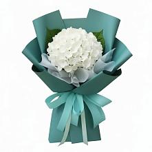 Букет цветов из:  Гортензия в Зуе